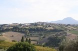 From Maiolati Spontini towards Cupramontana