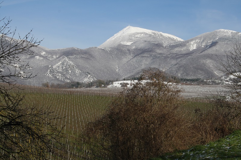 Monte San Vicino vom Flusstal des Esino aus gesehen