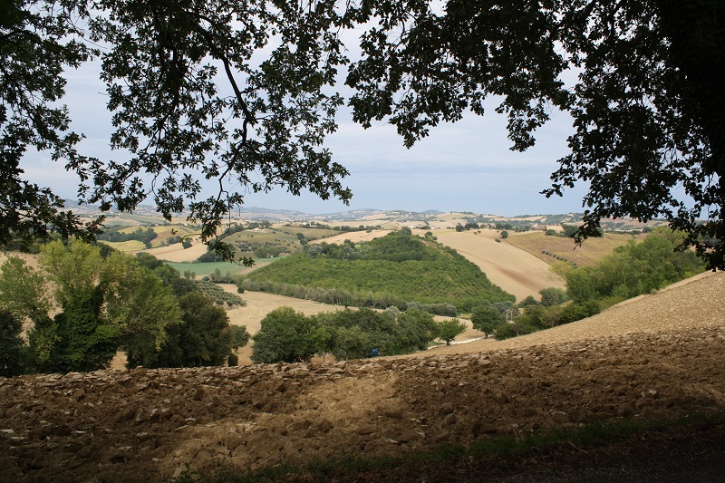 Between Jesi and Santa Maria Nuova