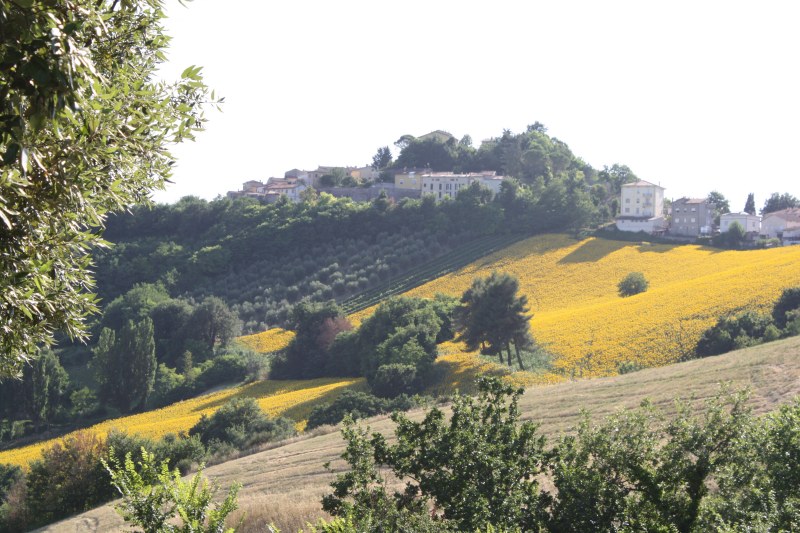 Belvedere Fogliense, municipality of Tavullia