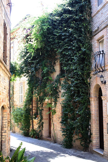 A street in Campofilone