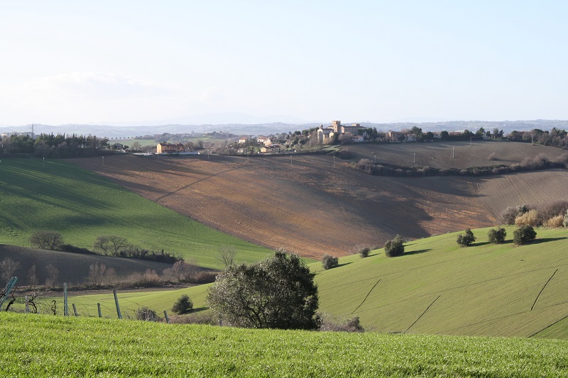 Sullo sfondo il Cassero, frazione di Camerata Picena