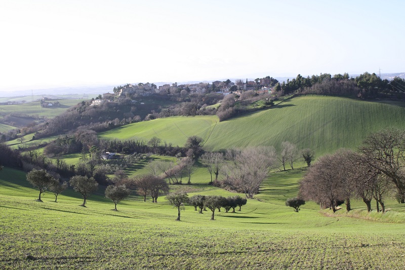 Sullo sfondo Castel d'Emilio, frazione di Agugliano