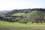 Im Hintergrund, Castel d'Emilio, Gemeinde Agugliano