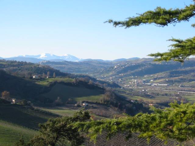 Il monte Catria visto da Castelbellino