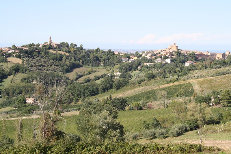 In vista di Montecarotto