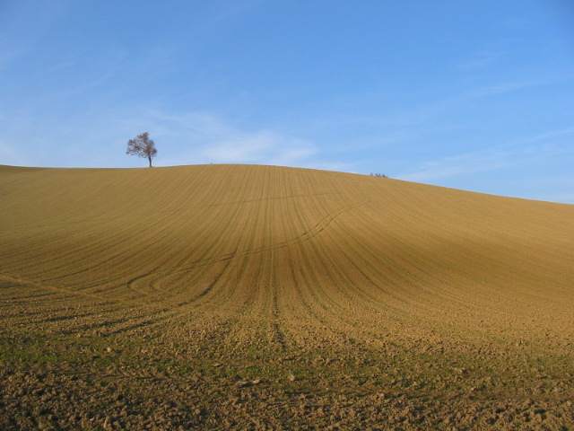 Nei pressi di Offagna