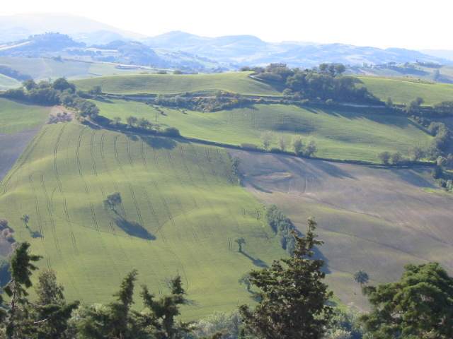 In der Nähe von Piticchio, Gemeinde Arcevia