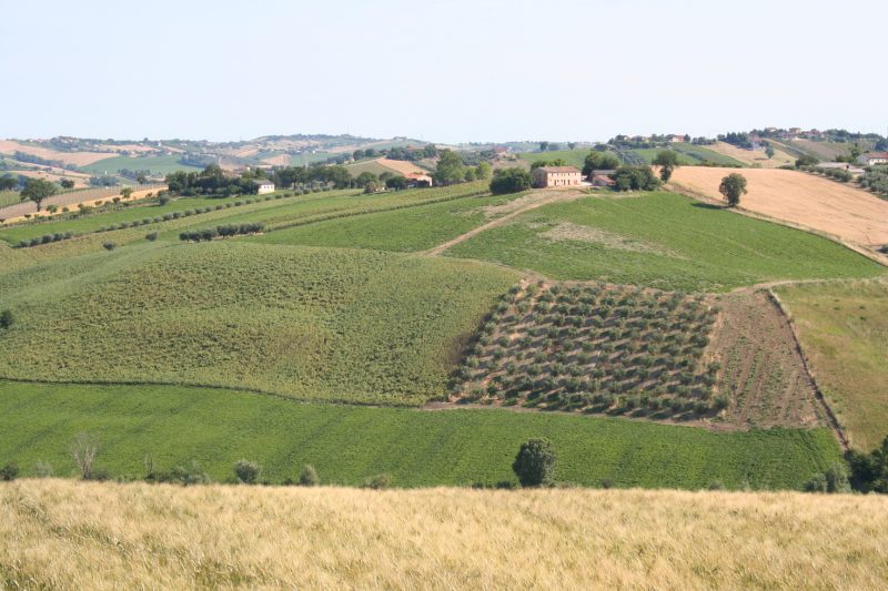 Zwischen San Marcello und Belvedere Ostrense