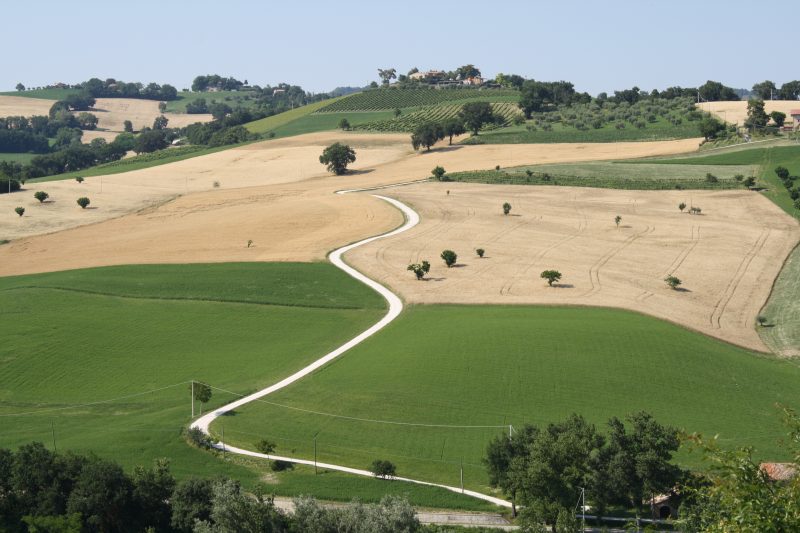 Hügeln nahe Fossombrone