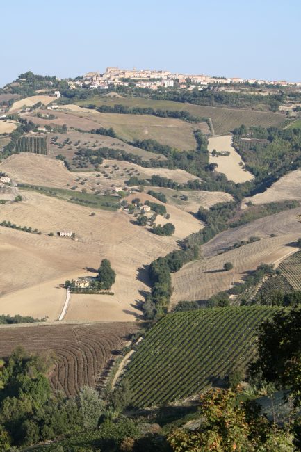 Among Montefiore dell'Aso and Ripatransone