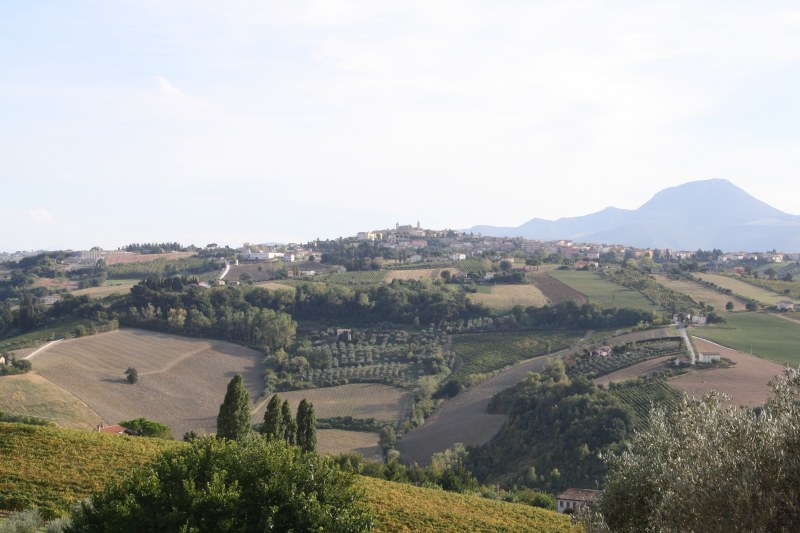 Da Maiolati Spontini verso Cupramontana