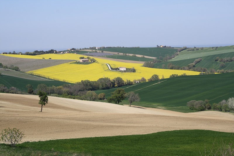 In der Nähe von San Silvestro, Gemeinde Senigallia