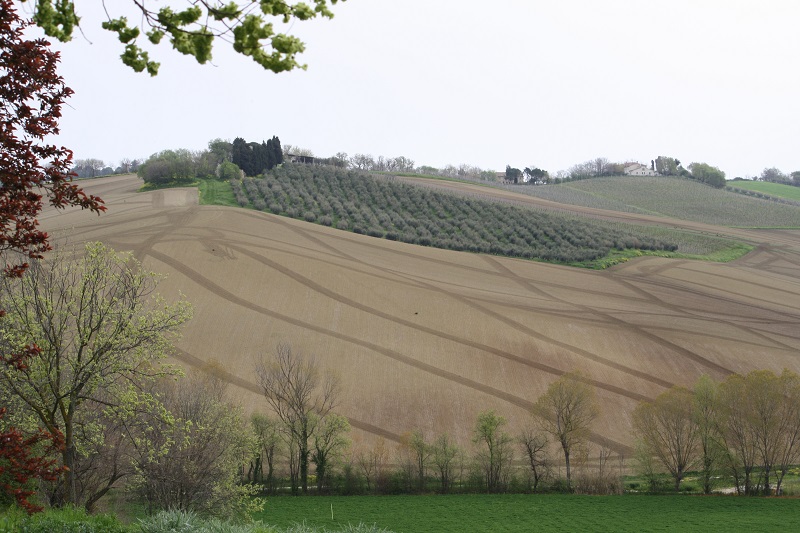 In comune di Senigallia