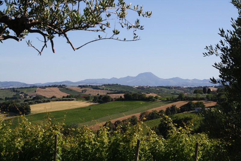 In comune di Tre Castelli