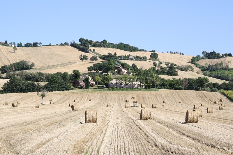 In prossimità di Corinaldo