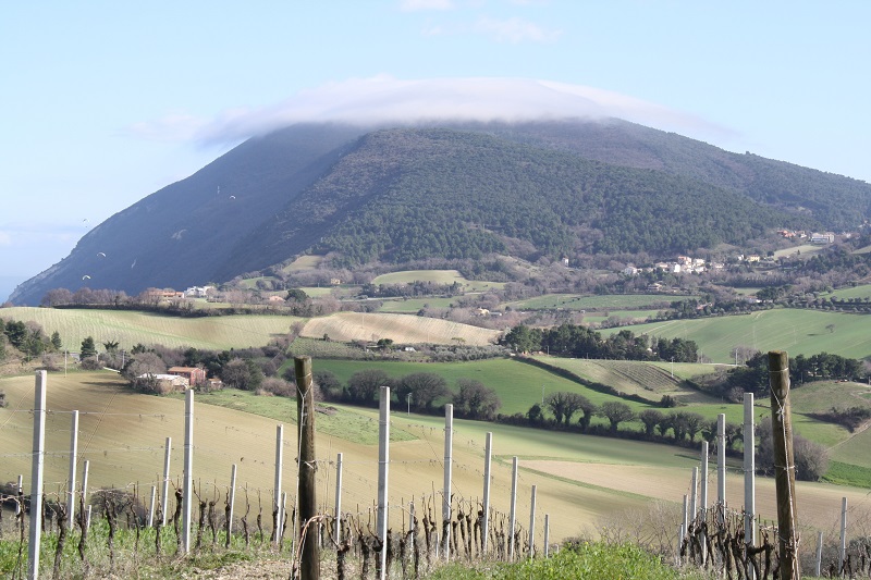 Il Monte Conero