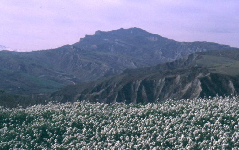 Il Monte dell'Ascensione