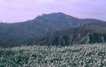 Der Monte dell'Ascensione (Der Auferstehungsberg)