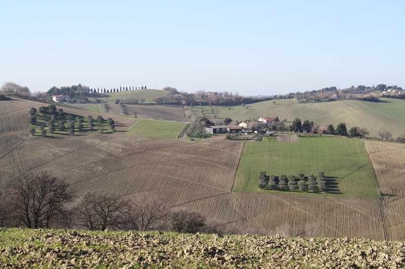 Nei pressi di San Silvestro di Senigallia