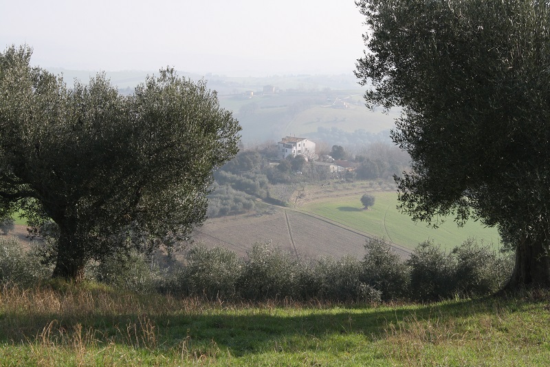 Near Santa Maria Nuova