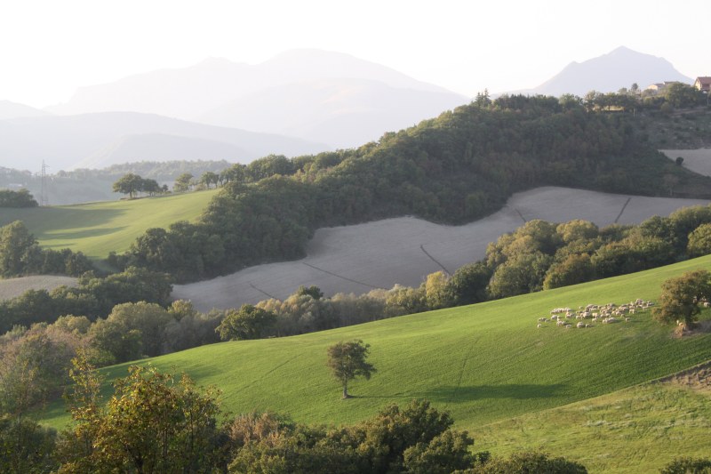 Nei pressi di Fabriano