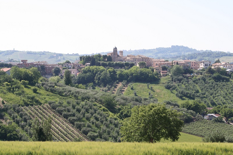 San Paolo di Jesi in the background