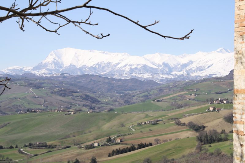 Sibillini from Montelparo