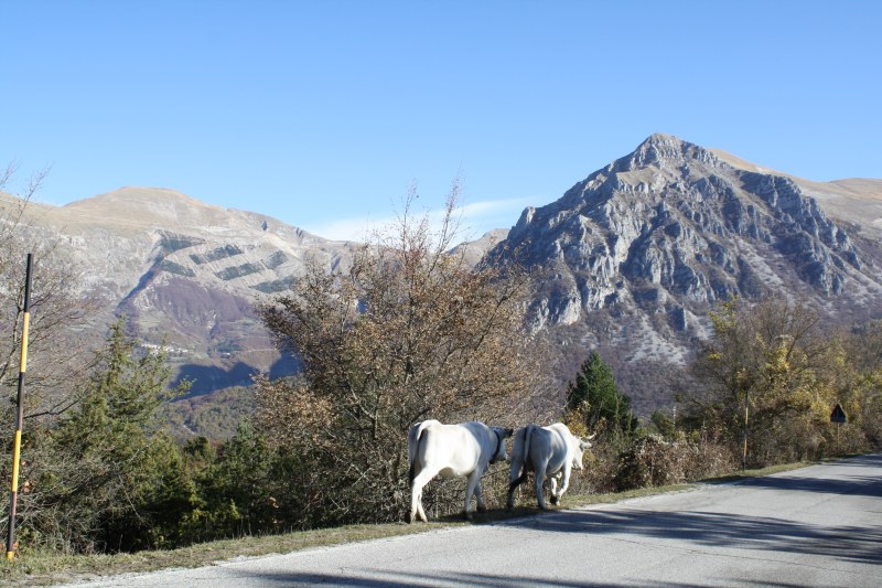 I Sibillini tra Ussita e Frontignano