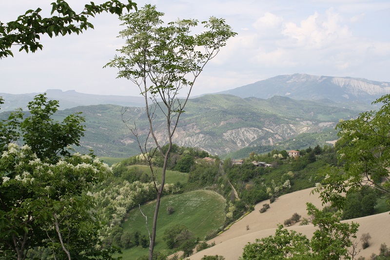 Von der Straße zwischen Peglio und Sassocorvaro. Im Hintergrund der Sasso Simone e Simoncello und der Monte Carpegna