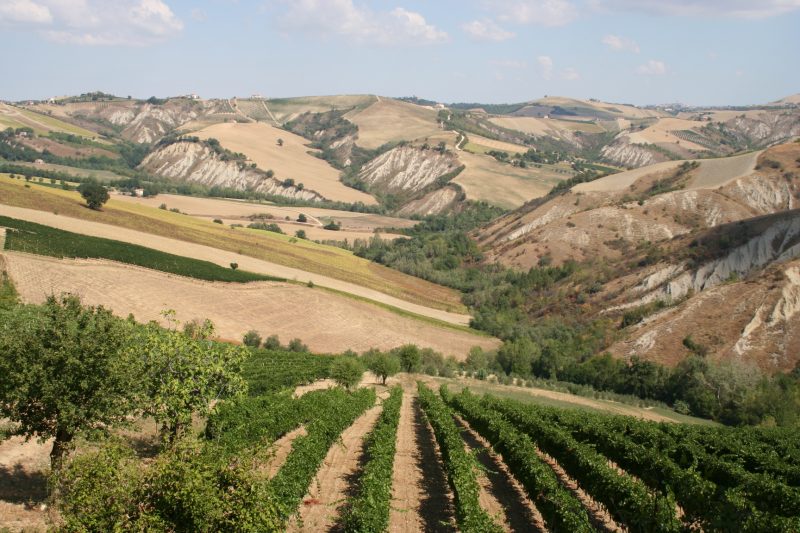 Between Cossignano and Montalto