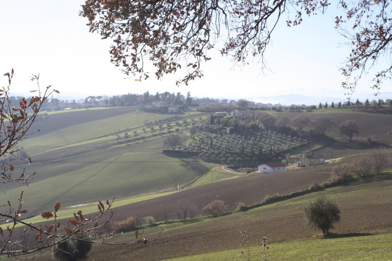 Between Monte San Giusto and Mogliano