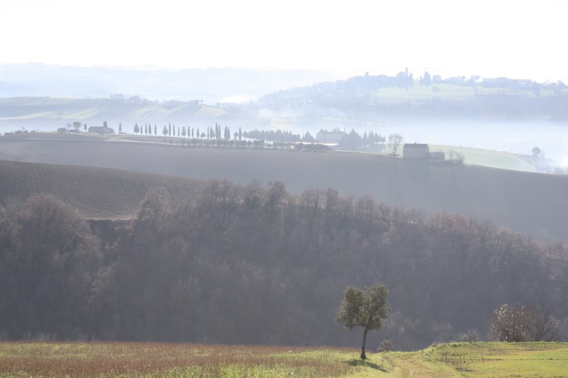 Between Monte San Giusto and Mogliano