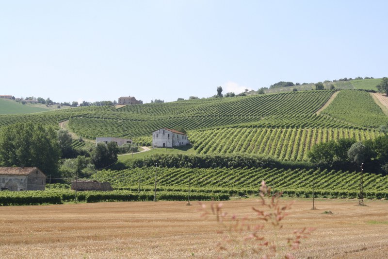 The Aso valley near Carassai