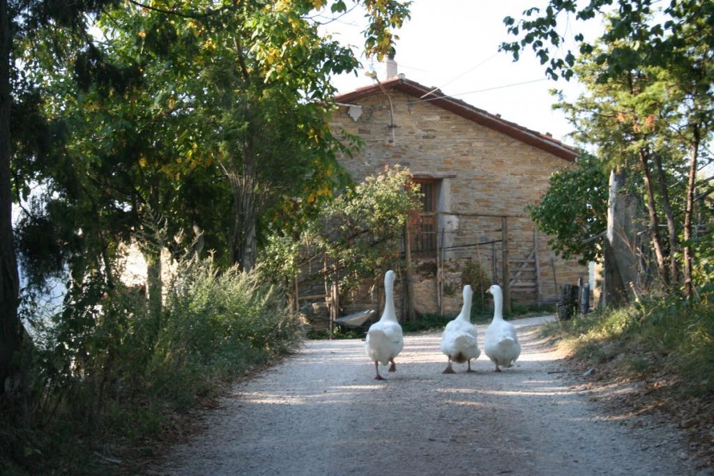 agriturismo Il Ginepro