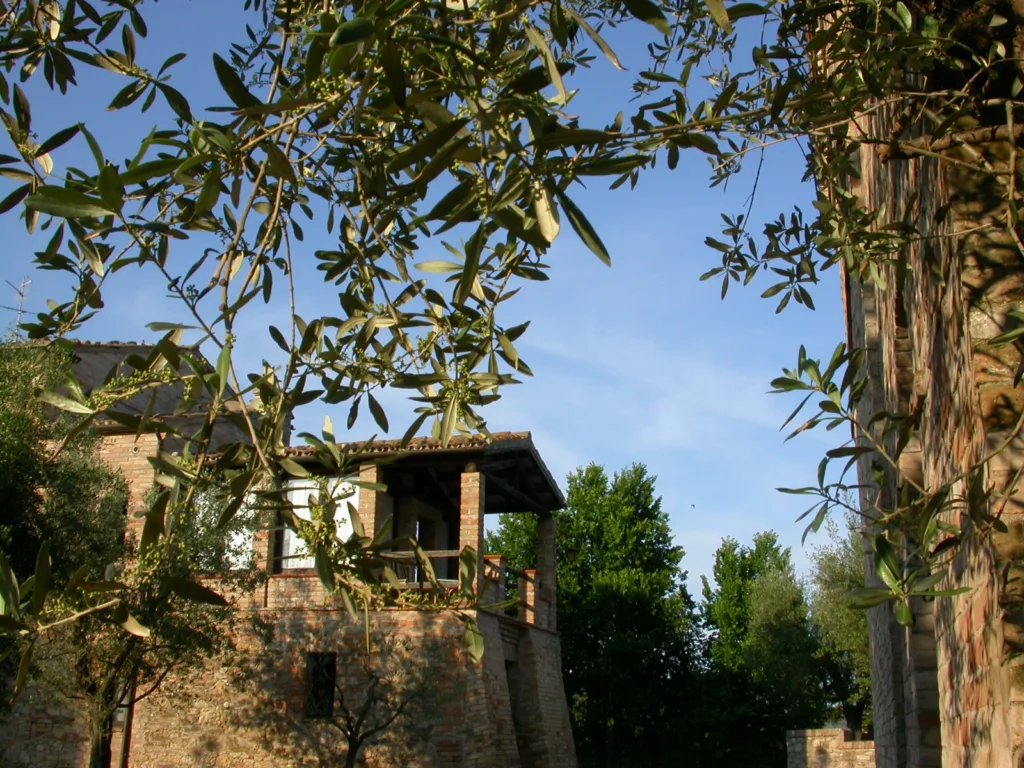 Agriturismo La Campana - Massignano (AP) - Agriturismo Marche