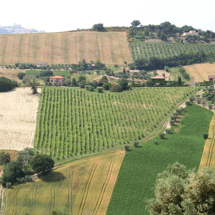 Le Marche Paesaggio