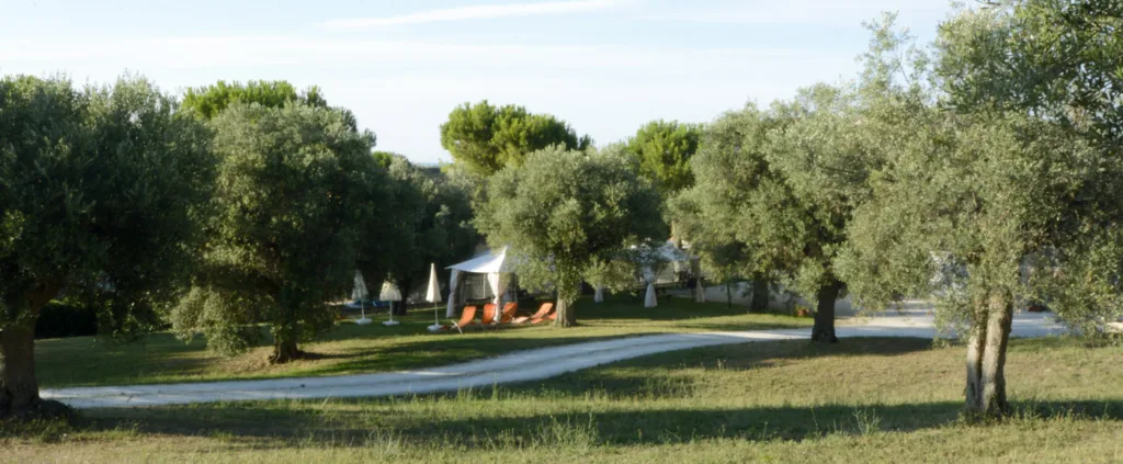 Agriturismo Sogno D'estate - Potenza Picena (MC)